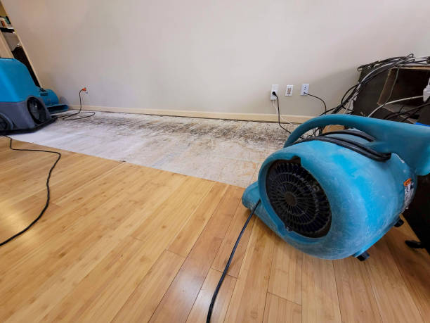 Professional Structural Drying technician working in Leonard, MI