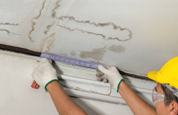 Affordable Structural Drying solutions in Leonard, MI